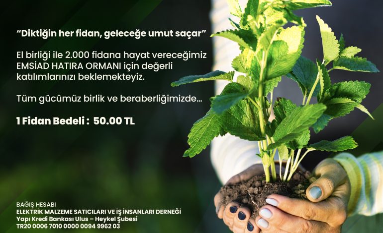 “EMSİAD HATIRA ORMANI”