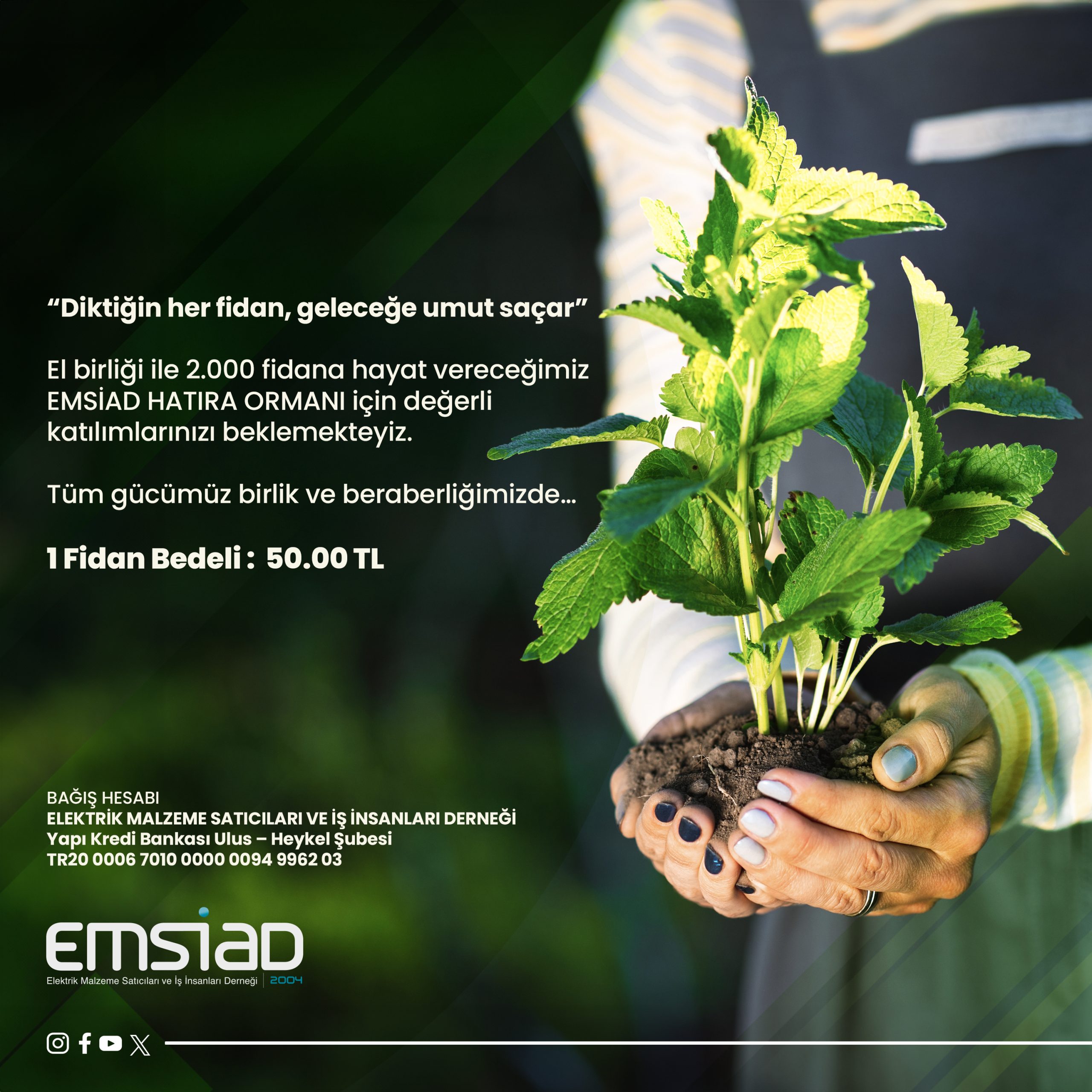 “EMSİAD HATIRA ORMANI”
